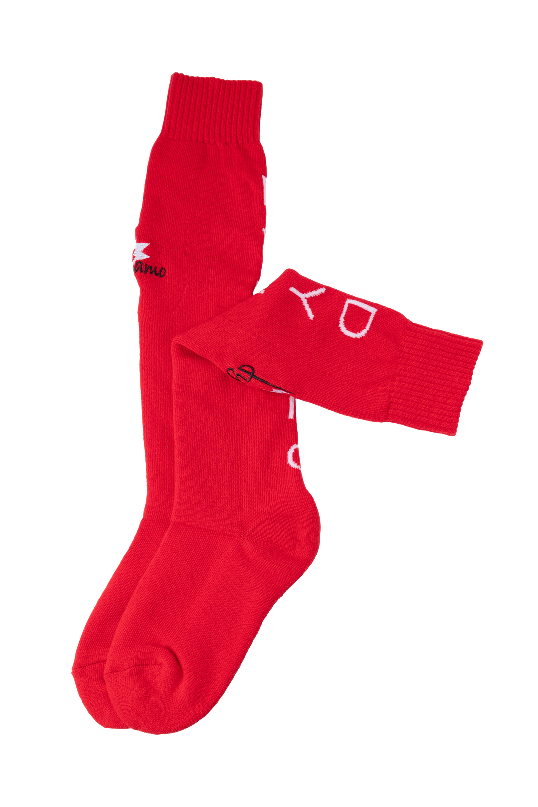 Dynamo - Fencing socks